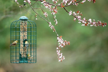 Squirrel-X Squirrel-Resistant Caged Bird Feeder - Floral Acres Greenhouse & Garden Centre