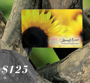 Physical Gift Card, $125.00 - Floral Acres Greenhouse & Garden Centre
