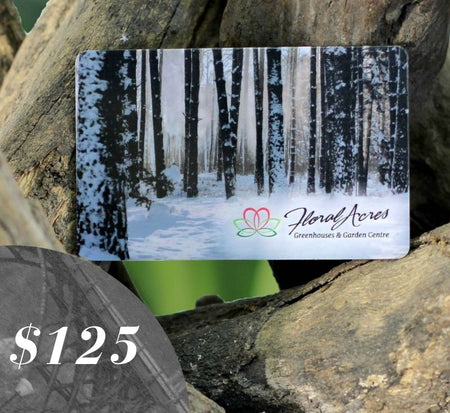 Physical Gift Card, $125.00 - Floral Acres Greenhouse & Garden Centre