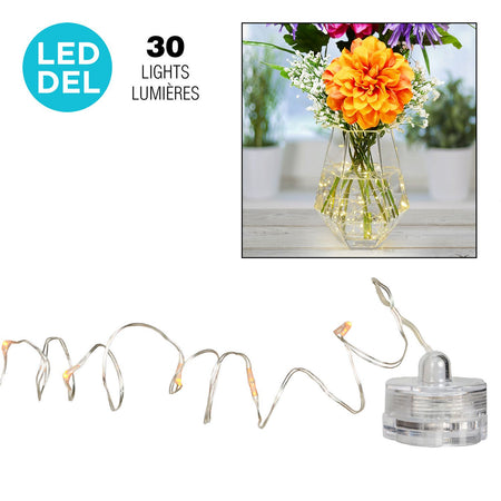 Submersible LED Light String, 30 Microdots, 9.8ft - Floral Acres Greenhouse & Garden Centre