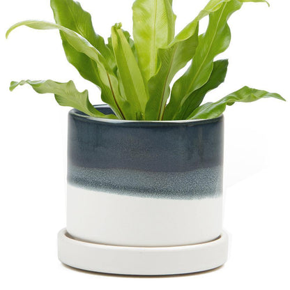 Pot & Saucer, 'Big Minute' 1 Series - Floral Acres Greenhouse & Garden Centre