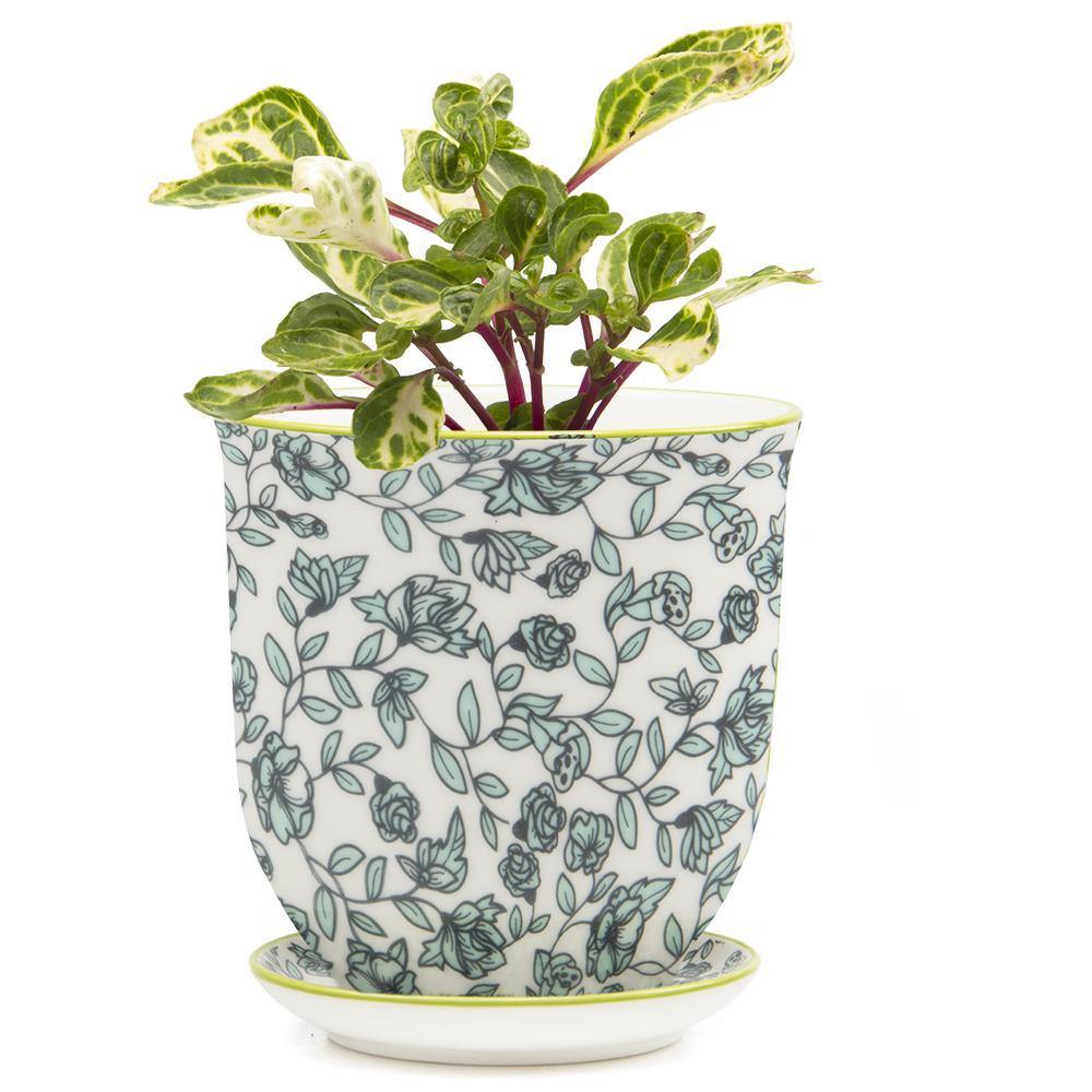 Pot & Saucer, 'Big Liberte' 3 Series - Floral Acres Greenhouse & Garden Centre