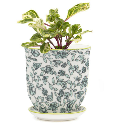 Pot & Saucer, 'Big Liberte' 3 Series - Floral Acres Greenhouse & Garden Centre