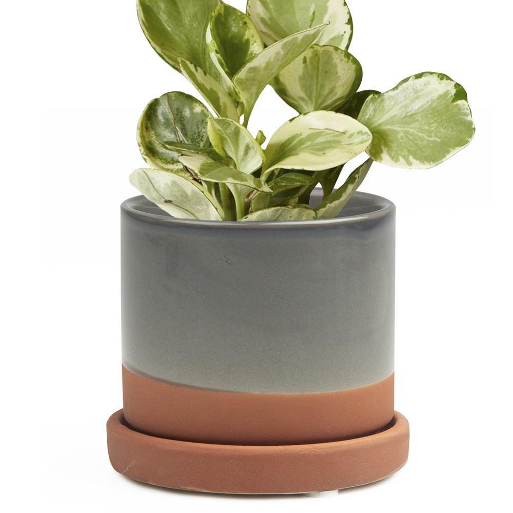 Pot & Saucer, 'Big Minute' 2 Series - Floral Acres Greenhouse & Garden Centre