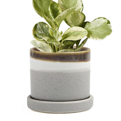 Pot & Saucer, 'Big Minute' 2 Series - Floral Acres Greenhouse & Garden Centre