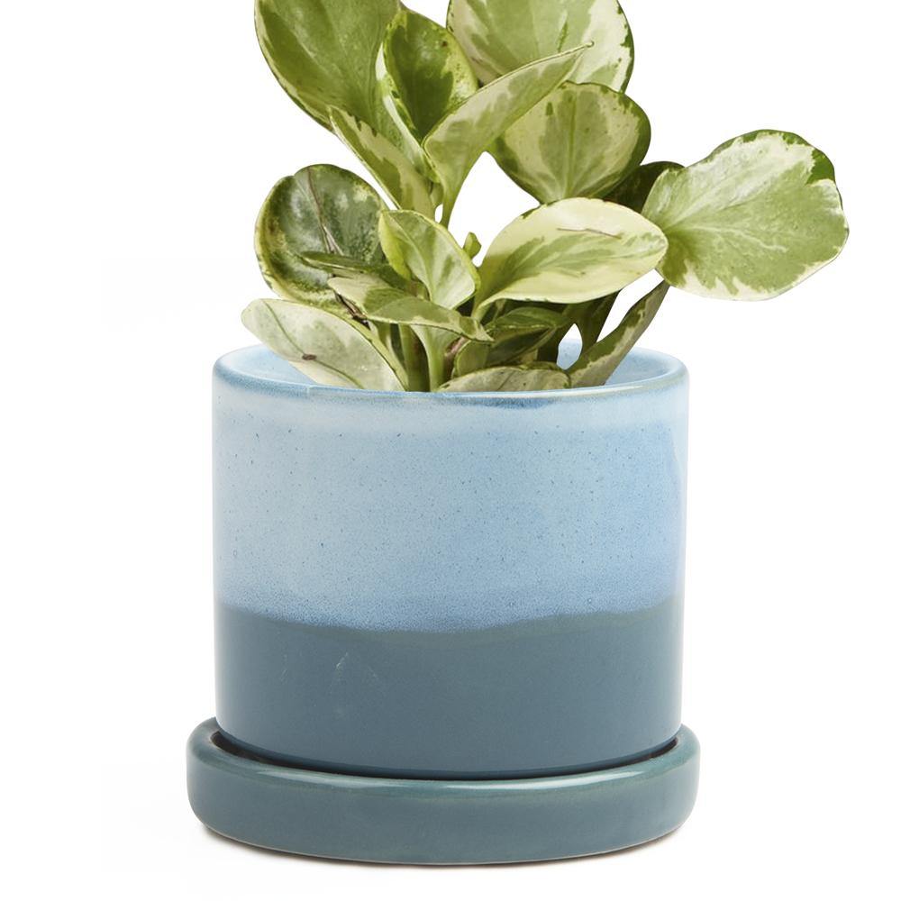 Pot & Saucer, 'Big Minute' 2 Series - Floral Acres Greenhouse & Garden Centre