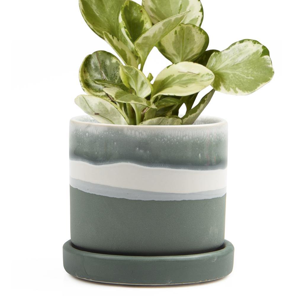 Pot & Saucer, 'Big Minute' 2 Series - Floral Acres Greenhouse & Garden Centre