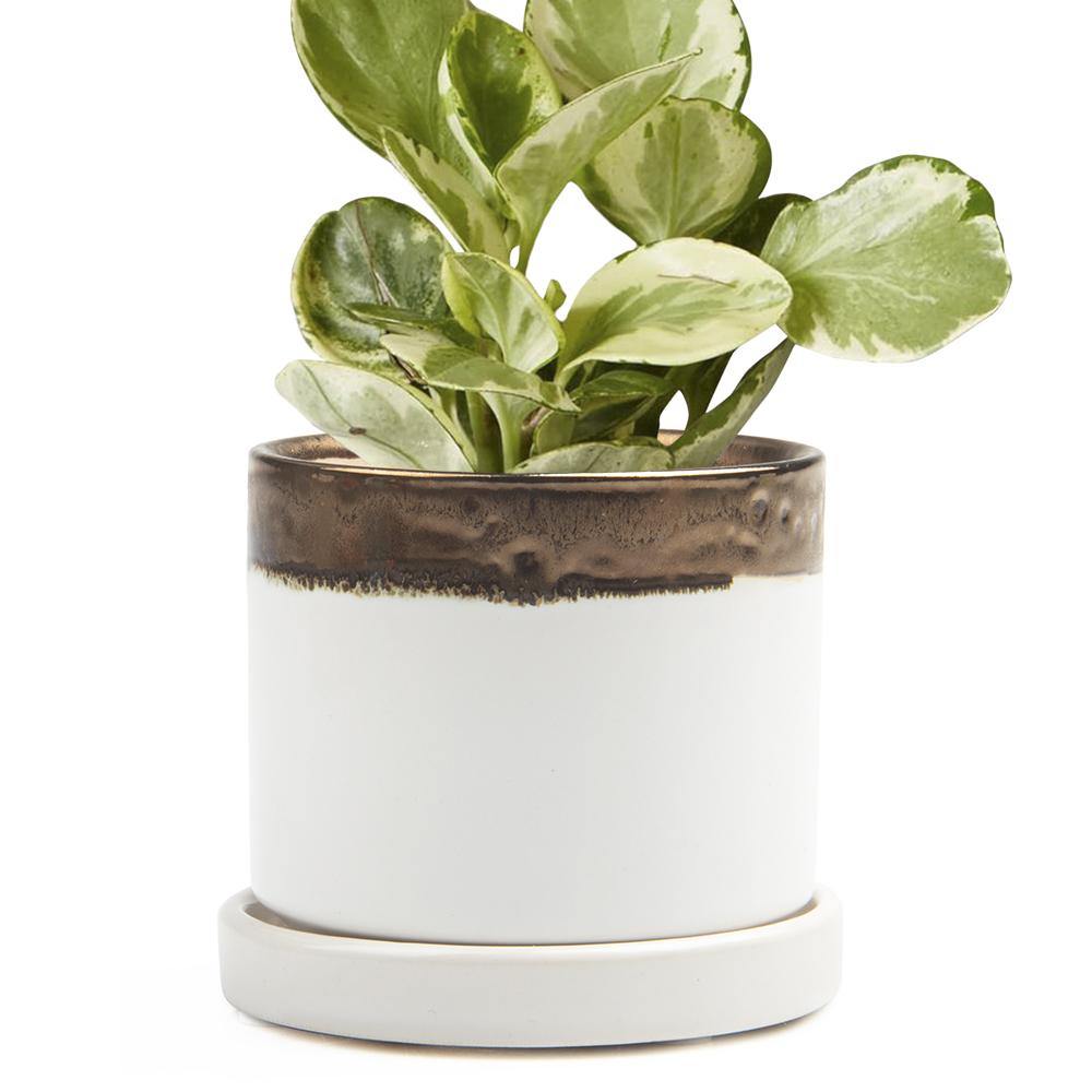 Pot & Saucer, 'Big Minute' 2 Series - Floral Acres Greenhouse & Garden Centre