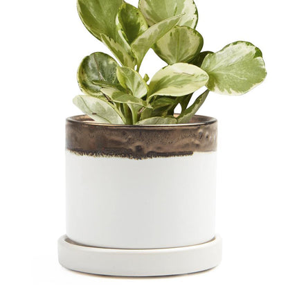 Pot & Saucer, 'Big Minute' 2 Series - Floral Acres Greenhouse & Garden Centre