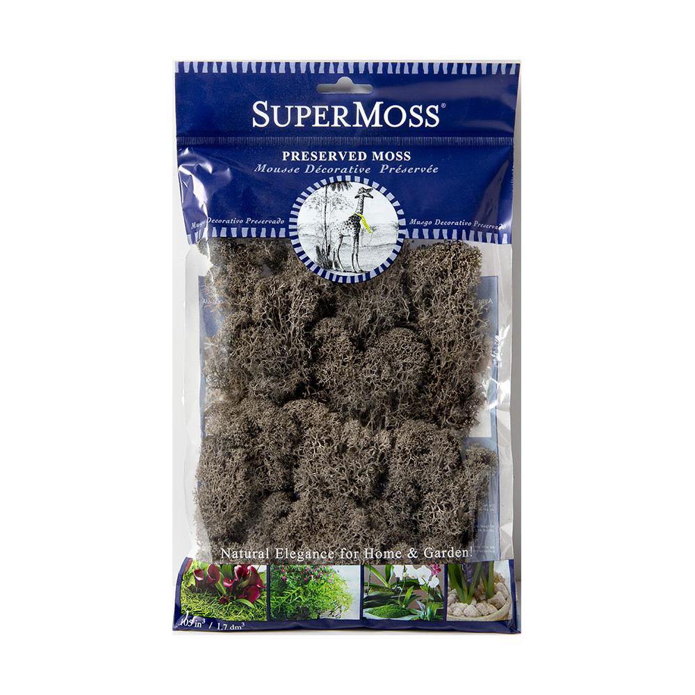 Reindeer Moss, Cashmere, Preserved - Floral Acres Greenhouse & Garden Centre
