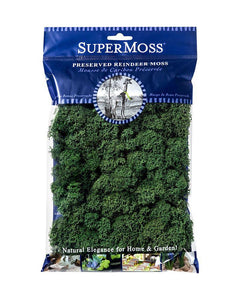 Reindeer Moss, Forest, Preserved - Floral Acres Greenhouse & Garden Centre