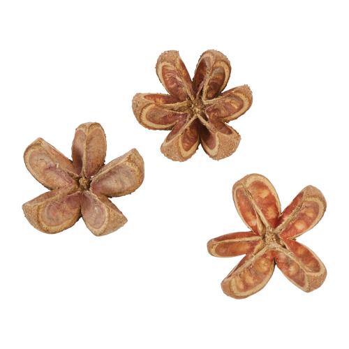 Dried Natural Achiote Flower, 3