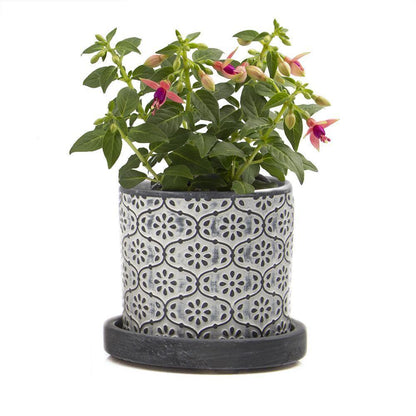 Pot & Saucer, Big Balter - Floral Acres Greenhouse & Garden Centre