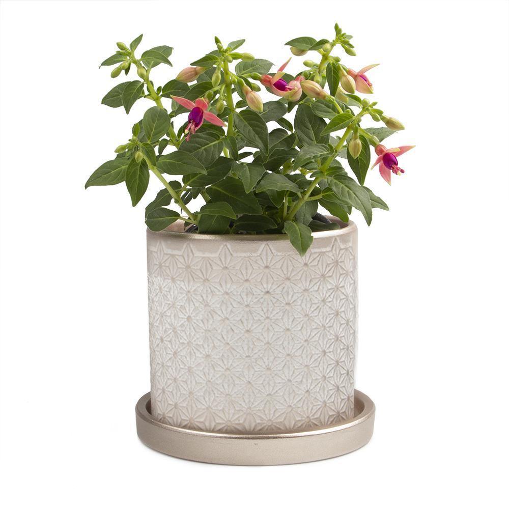 Pot & Saucer, Big Balter - Floral Acres Greenhouse & Garden Centre