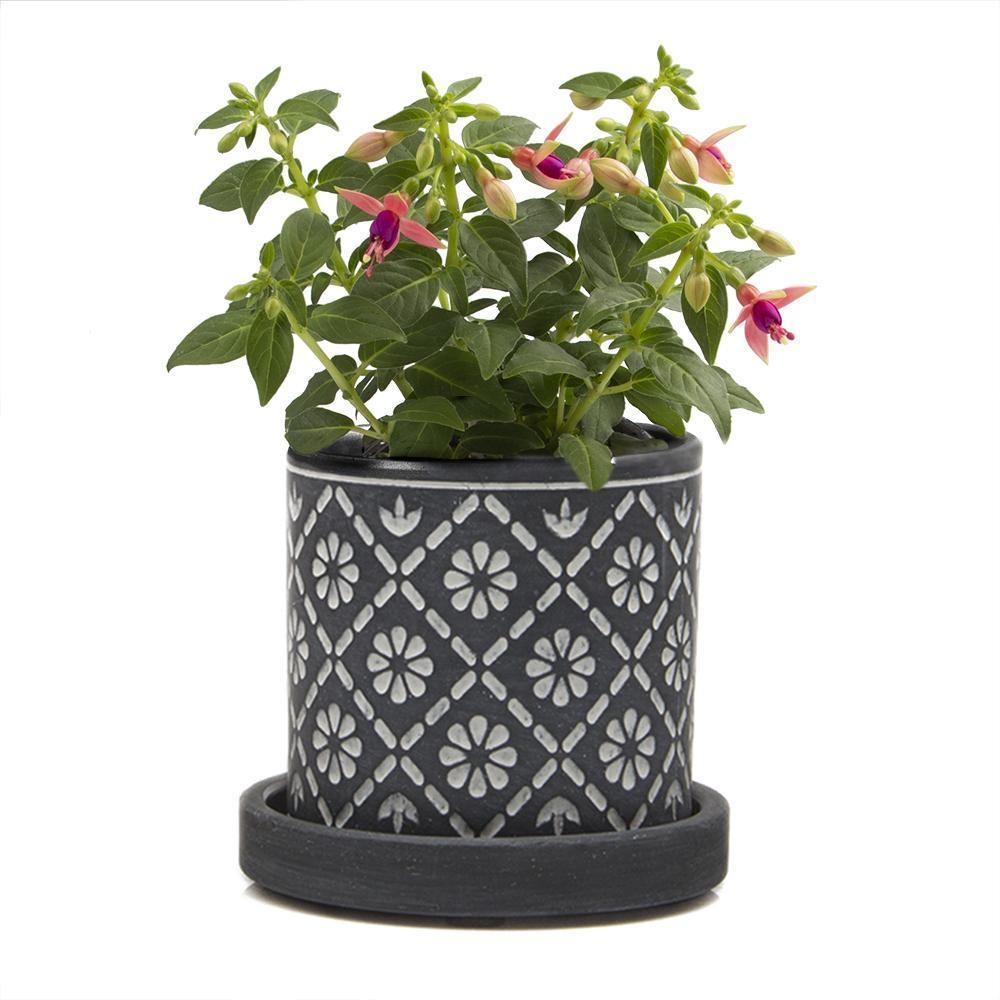 Pot & Saucer, Big Balter - Floral Acres Greenhouse & Garden Centre