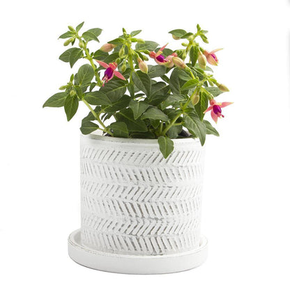 Pot & Saucer, Big Balter - Floral Acres Greenhouse & Garden Centre