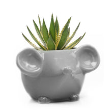 Load image into Gallery viewer, Pot, 4in, Mouse, Ceramic - Floral Acres Greenhouse &amp; Garden Centre
