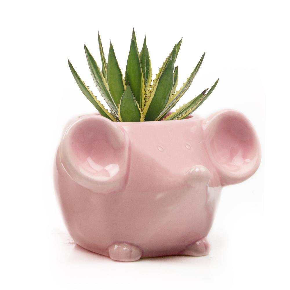 Pot, 4in, Mouse, Ceramic - Floral Acres Greenhouse & Garden Centre