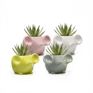 Pot, 4in, Mouse, Ceramic - Floral Acres Greenhouse & Garden Centre
