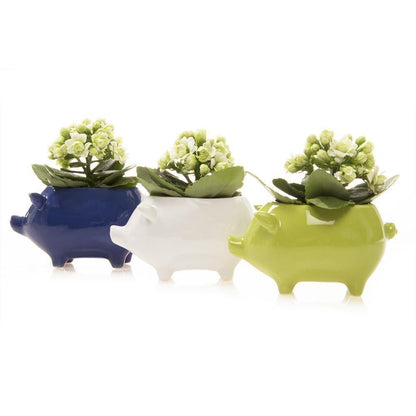 Pot, 5.5in, Pig - Floral Acres Greenhouse & Garden Centre