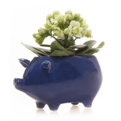 Pot, 5.5in, Pig