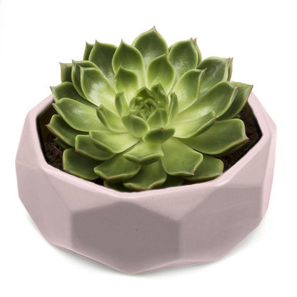 Planter, 8in,  Discus Modern Garden Planters