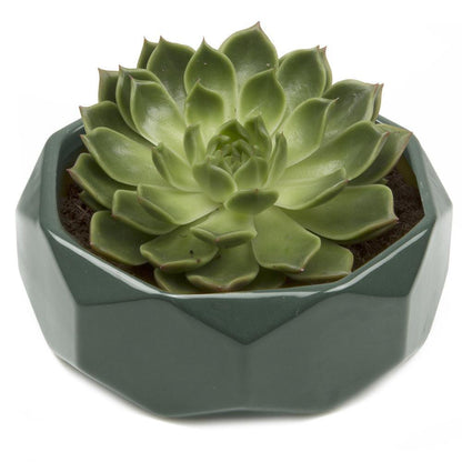 Planter, 8in,  Discus Modern Garden Planters - Floral Acres Greenhouse & Garden Centre