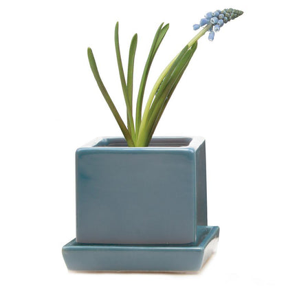 Pot & Saucer, 2.5in, Cube - Floral Acres Greenhouse & Garden Centre