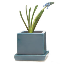 Load image into Gallery viewer, Pot &amp; Saucer, 2.5in, Cube - Floral Acres Greenhouse &amp; Garden Centre
