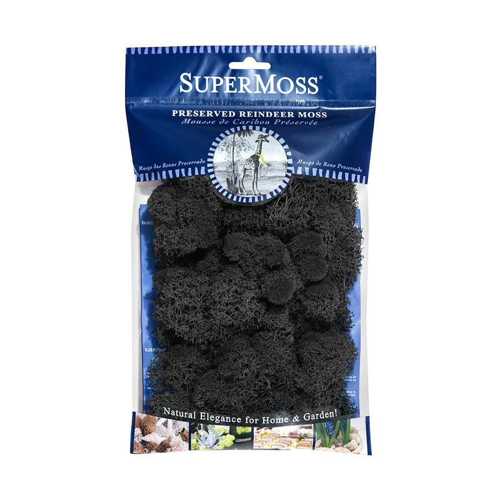 Reindeer Moss, Black, Preserved - Floral Acres Greenhouse & Garden Centre