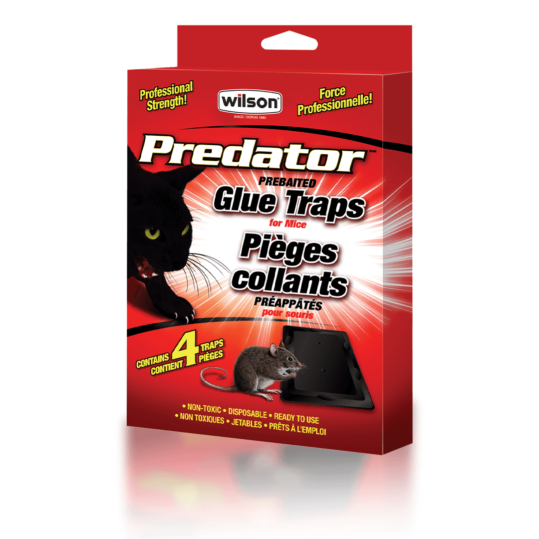 Wilson, Predator, Mouse Glue Traps, 4pk - Floral Acres Greenhouse & Garden Centre