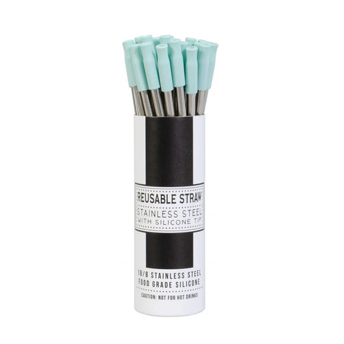 Straw, Stainless Steel with Silicone Tip, Seafoam - Floral Acres Greenhouse & Garden Centre