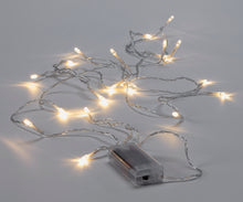 Load image into Gallery viewer, String Lights, 20 LED, Warm White - Floral Acres Greenhouse &amp; Garden Centre
