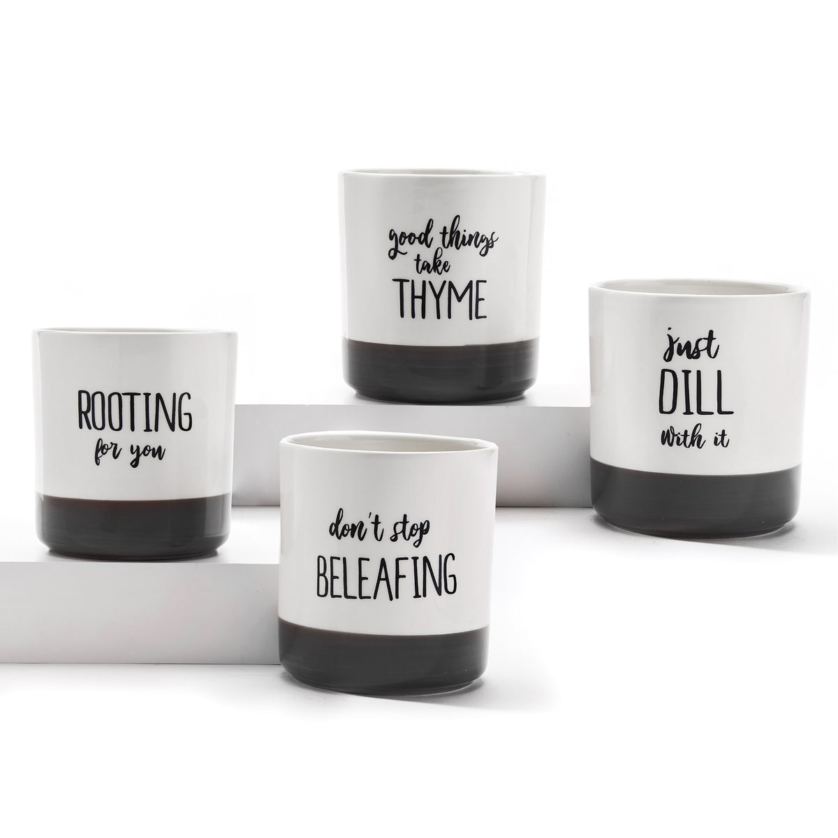 Pot, 4in, Ceramic, Garden Sentiment, 4 Assorted