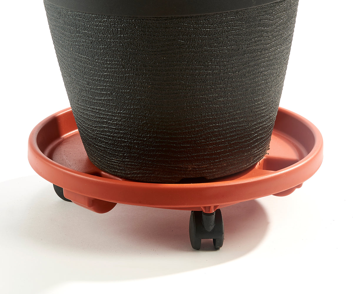 Planter Caddy, Plastic, Rolling, 3 Assorted - Floral Acres Greenhouse & Garden Centre