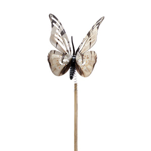 Plant Pick, Butterfly Bobble Head, 6 Assorted - Floral Acres Greenhouse & Garden Centre
