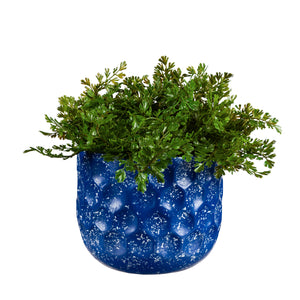 Planter, Embossed Honeycomb, Dark Blue, 10in - Floral Acres Greenhouse & Garden Centre
