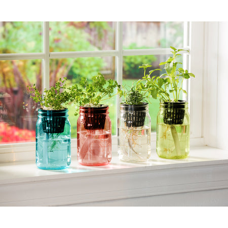 Planter, Glass, Self-Wicking Mason Jar, 4 Assorted