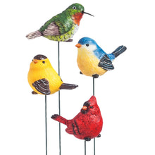 Load image into Gallery viewer, Plant Pick, For The Birds, 4 Assorted - Floral Acres Greenhouse &amp; Garden Centre
