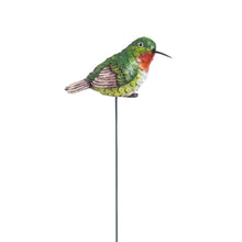 Load image into Gallery viewer, Plant Pick, For The Birds, 4 Assorted - Floral Acres Greenhouse &amp; Garden Centre
