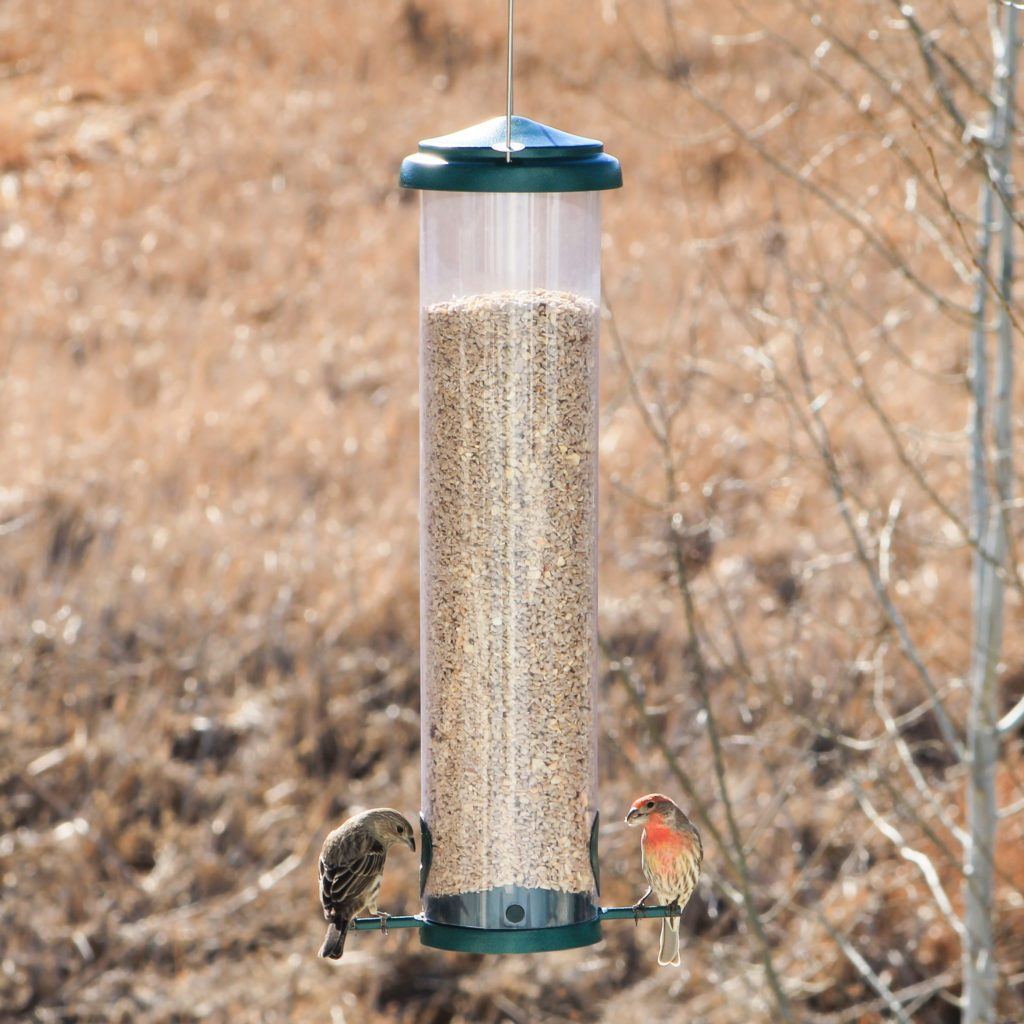 Squirrel-X X7 Squirrel-Resistant Bird Feeder - Floral Acres Greenhouse & Garden Centre