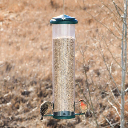 Squirrel-X X7 Squirrel-Resistant Bird Feeder - Floral Acres Greenhouse & Garden Centre