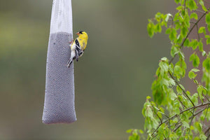 White Nylon Finch Sock Bird Feeder, 2 Pack - Floral Acres Greenhouse & Garden Centre