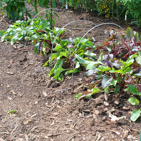 Bosmere Grow Tunnel Hoops, 5 Pack - Floral Acres Greenhouse & Garden Centre