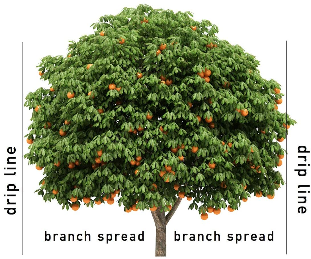 Jobe's Fruit/Citrus Fertilizer Spike [11-3-4], 9pk - Floral Acres Greenhouse & Garden Centre