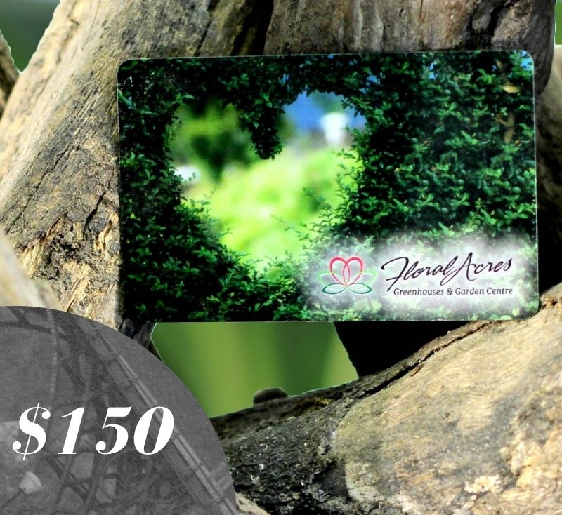 Physical Gift Card, $150.00 - Floral Acres Greenhouse & Garden Centre