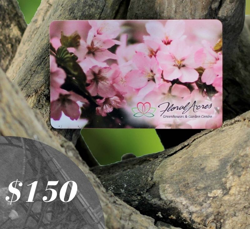 Physical Gift Card, $150.00 - Floral Acres Greenhouse & Garden Centre
