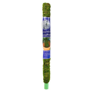 Moss Pole, Preserved Fresh Green, 24in - Floral Acres Greenhouse & Garden Centre