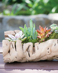 Planter, Natural Wood, Grapevine 10-14in - Floral Acres Greenhouse & Garden Centre