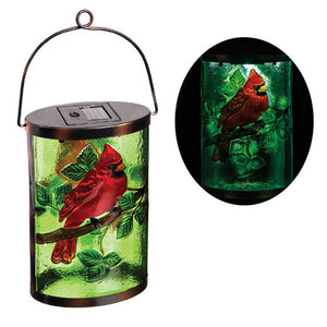 Solar Etched Glass Lantern, Cardinal